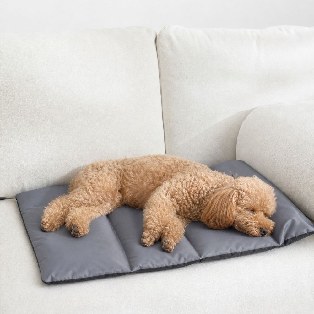 سجادة نوم قابلة للطي للحيوانات - مراجعة Outdoor Camping Dog Bed وسعره