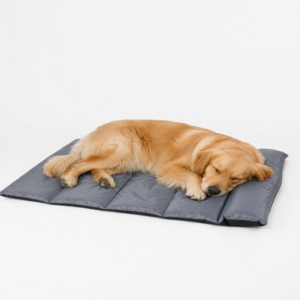 سجادة نوم قابلة للطي للحيوانات - مراجعة Outdoor Camping Dog Bed وسعره