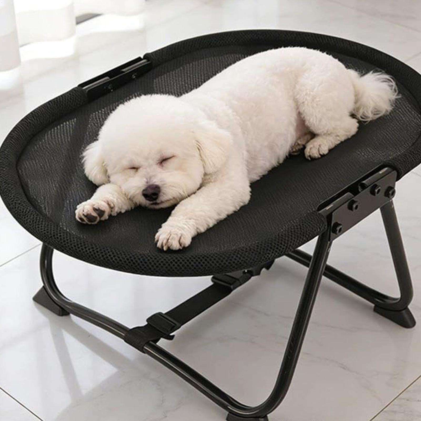 سرير كلاب قابل للطي مع وسادة ق - مراجعة Outdoor Camping Dog Bed وسعره