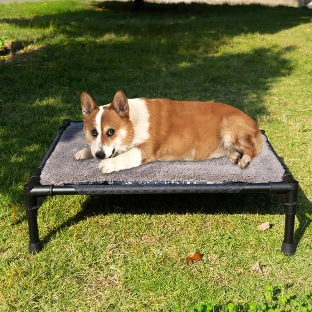 سرير كلاب مرتفع للاستخدام الخا - مراجعة Outdoor Camping Dog Bed وسعره